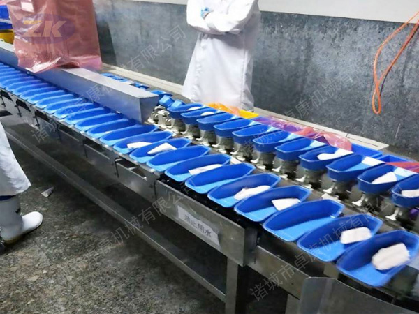 �����������x�C(j��)